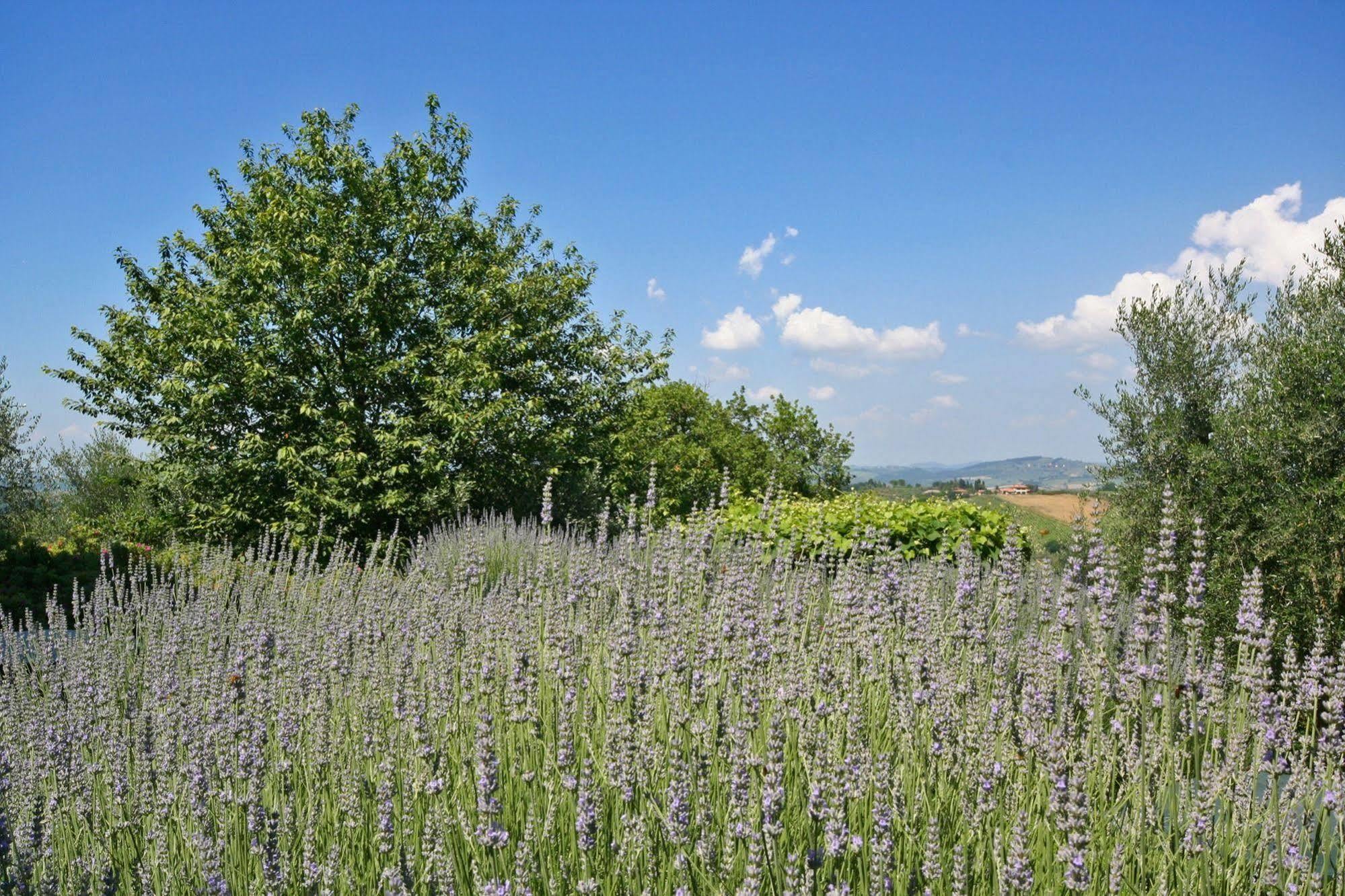 Podere Il Pino Poggibonsi Exterior photo
